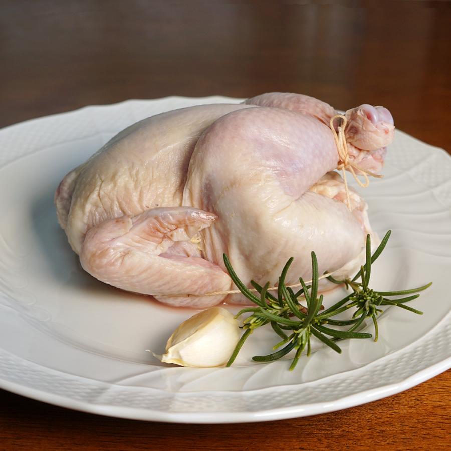 【新品未開封】 丸鶏 ミニ丸鶏 ゲームヘン 約500g 24羽 18オンス 業務用 箱売 アメリカ産 地鶏 雛鳥 鶏肉 丸ごと 丸鳥 ホール チキン 【2258575632】(12960円)