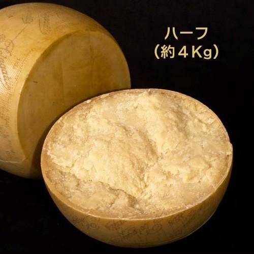 ハード セミハード チーズ ペラガッティーノ ハーフカット 約4kg イタリア産 毎週水 金曜日発送 Ch Ff 39 002 男の台所 通販 Yahoo ショッピング