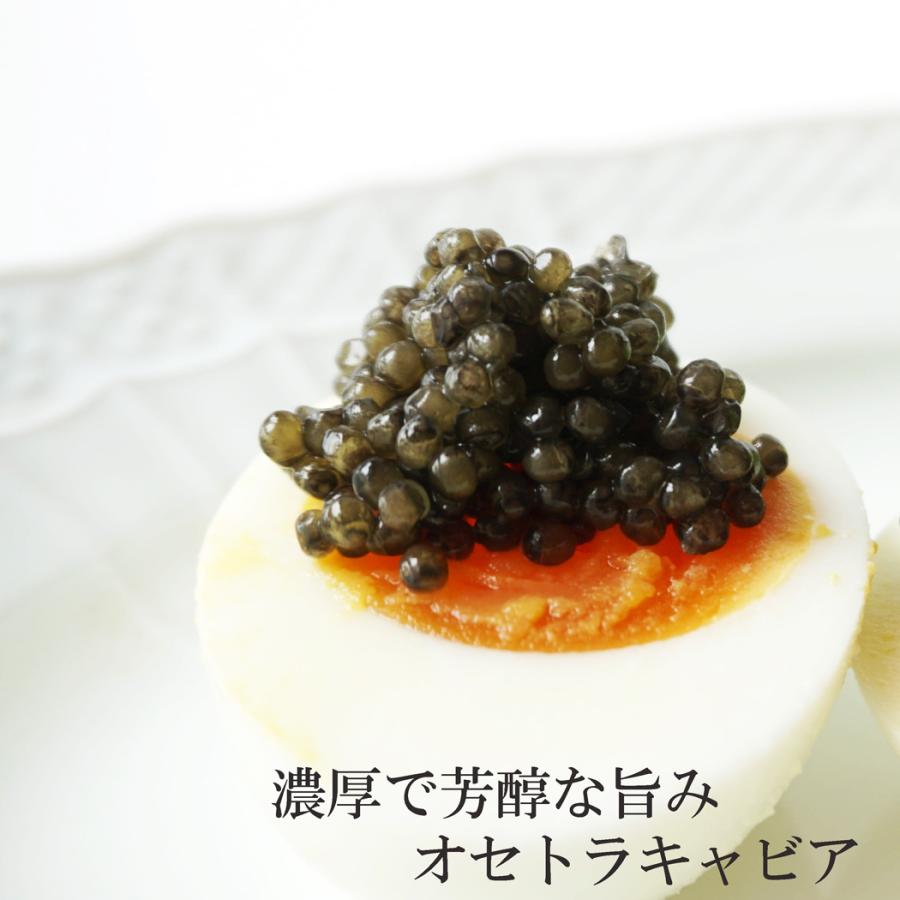 キャビア フランス産 オシェトラ 50g 瓶入り ロシアチョウザメ