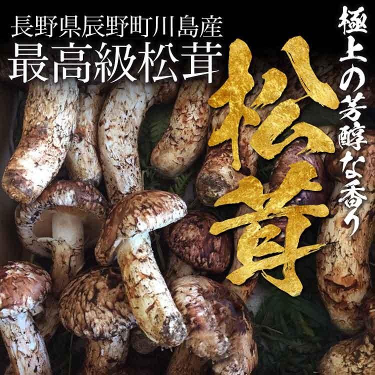 松茸 200g（S〜L混合 2〜5本）最高級・幻の松茸 マツタケ まつたけ 産地直送 国産 高級料亭御用達 10月下旬までの期間限定販売