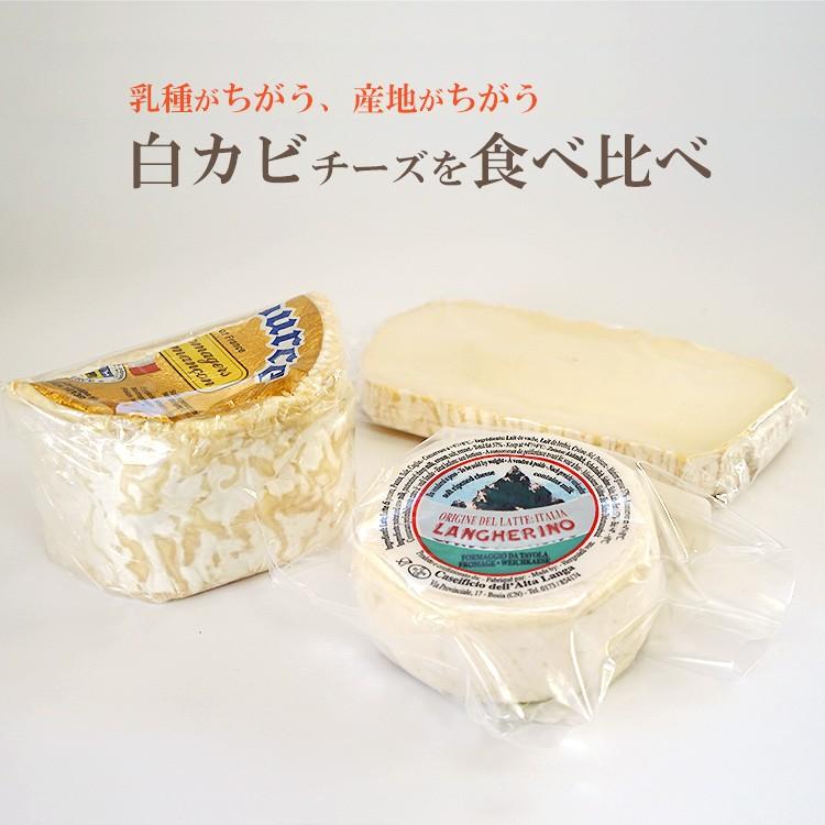 チーズセット 白カビ チーズ 食べ比べ カザティカ ランゲリーノ シャウルス ハーフ 毎週水・金曜日発送
