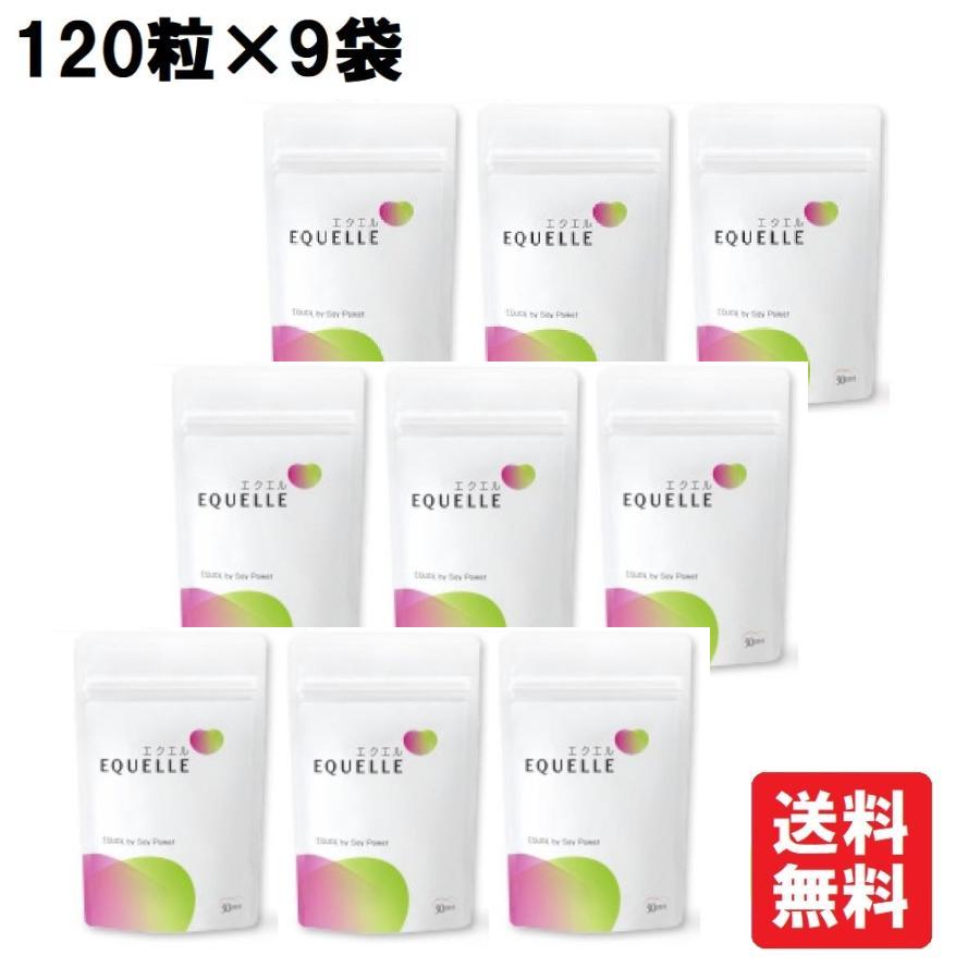大塚製薬 エクエル パウチ 120粒×9袋 エクオール （クリックポスト発送 
