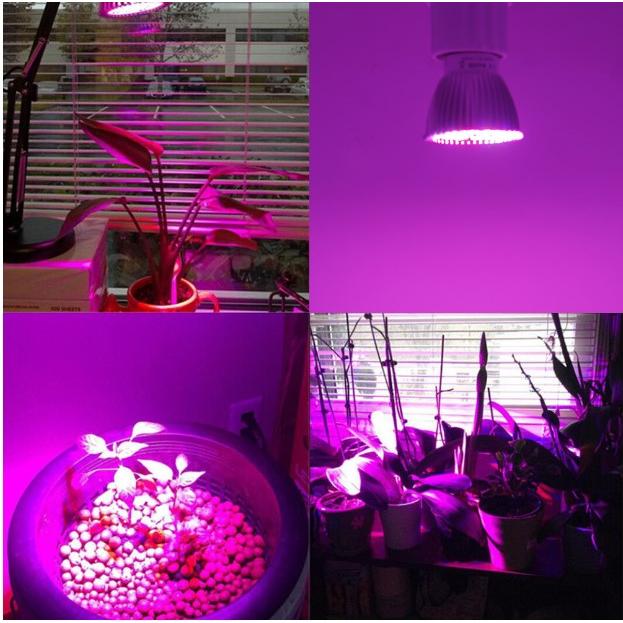 28LED植物育成ライト6種類のライトで高効率低電力で電気代も安い 28LED植物育成ライト6種類のライトで高効率低電力で電気代も安い