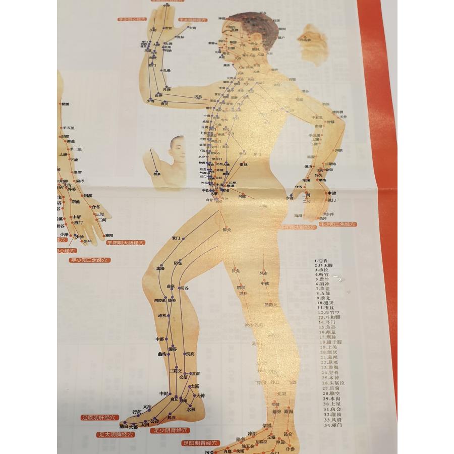 全身経絡図 ツボの位置確認 中国本土版｜otokumarket｜04