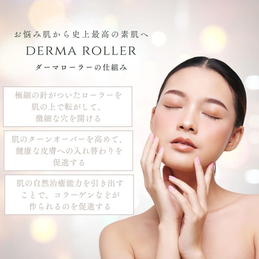 3本セット 日本メーカー製ダーマローラー【4種類 0.25mm/0.5mm/1.0mm
