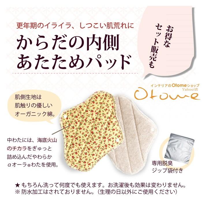 ギフト 温活 あたため ほんわか 　オーラ毎日あたためセット からだの内側あたためパッド３枚パンティライナー 【ギフトラッピング可】