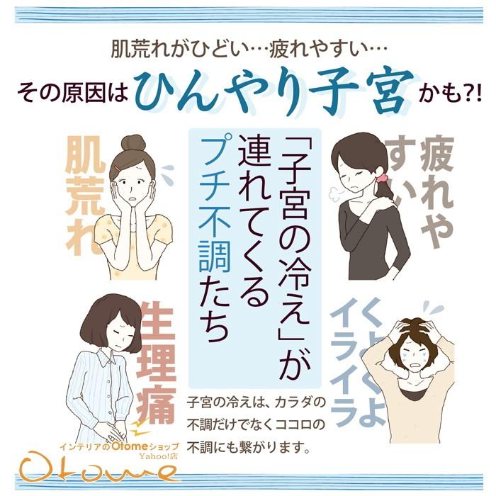 ギフト 温活 あたため ほんわか 　オーラ毎日あたためセット からだの内側あたためパッド３枚パンティライナー 【ギフトラッピング可】
