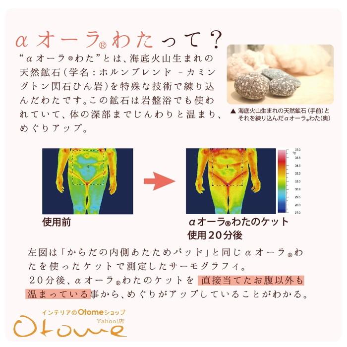 ギフト 温活 あたため ほんわか 　オーラ毎日あたためセット からだの内側あたためパッド３枚パンティライナー 【ギフトラッピング可】