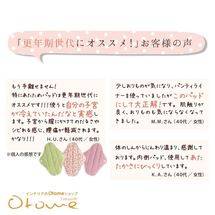 ギフト 温活 あたため ほんわか 　オーラ毎日あたためセット からだの内側あたためパッド３枚パンティライナー 【ギフトラッピング可】