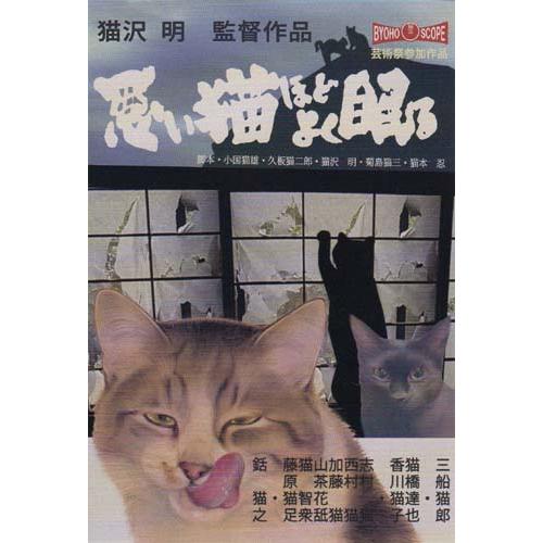 ポストカードno422 悪い猫ほどよく眠る 目羅健嗣 猫イラスト 猫グッズと姫雑貨のお店オトメ日和 通販 Yahoo ショッピング