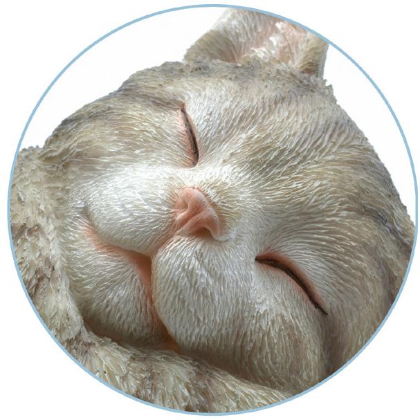 ネコ置き物 Amazon.co.jp: 皿を捧げるネコ ねこ 猫ちゃん キー収納 猫置物