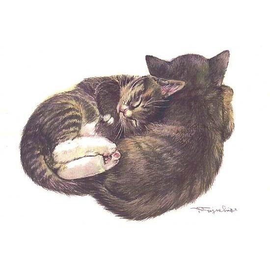 藤重日生 猫絵カード リアル水彩色紙絵 ポストカードサイズ Fuji Fuji 猫グッズと姫雑貨のお店オトメ日和 通販 Yahoo ショッピング