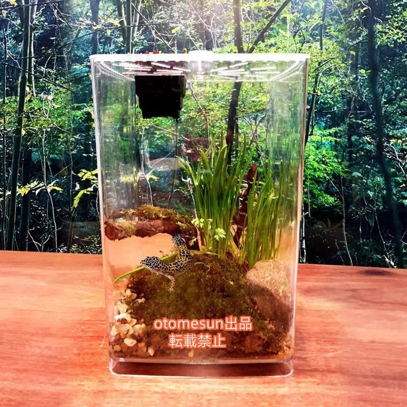 爬虫類ケージ（カメレオン等）