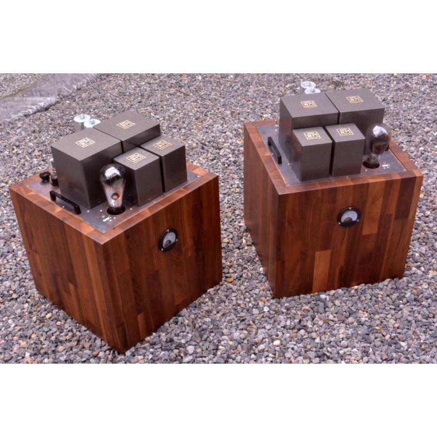 特注】【The Tesseract 50】豪華シングルアンプ☆贅沢のVT-62ドライブ