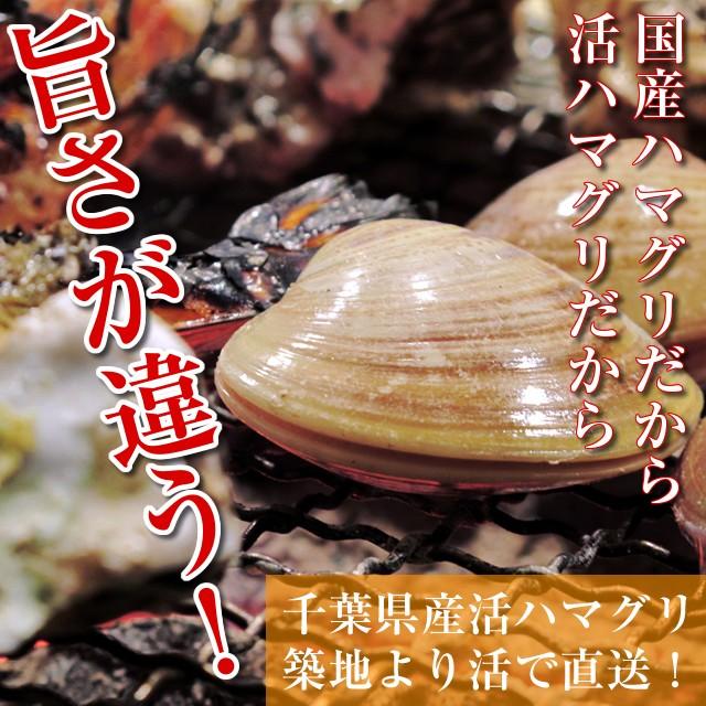 ハマグリ 国産 貝殻 千葉 500g Hamaguri Chiba 500g オトナのおつかい屋 通販 Yahoo ショッピング