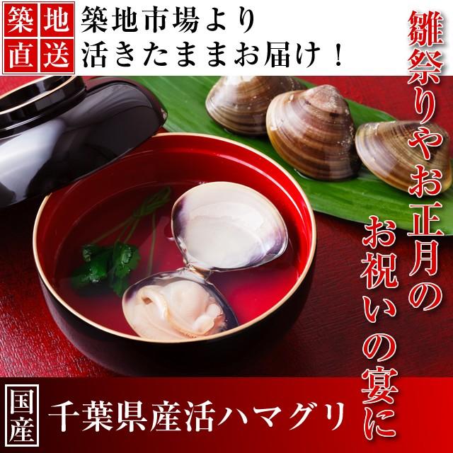 ハマグリ 国産 貝殻 千葉 500g Hamaguri Chiba 500g オトナのおつかい屋 通販 Yahoo ショッピング