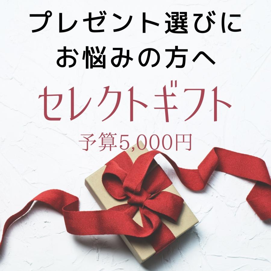 宅配送料無料 大人ネイル セレクトギフト 5000円コース プレゼント選びに悩んだら タイプに合ったギフト選び 人気 ギフト マニキュア セット Select Gift5000 マニキュア通販 大人ネイル 通販 Yahoo ショッピング