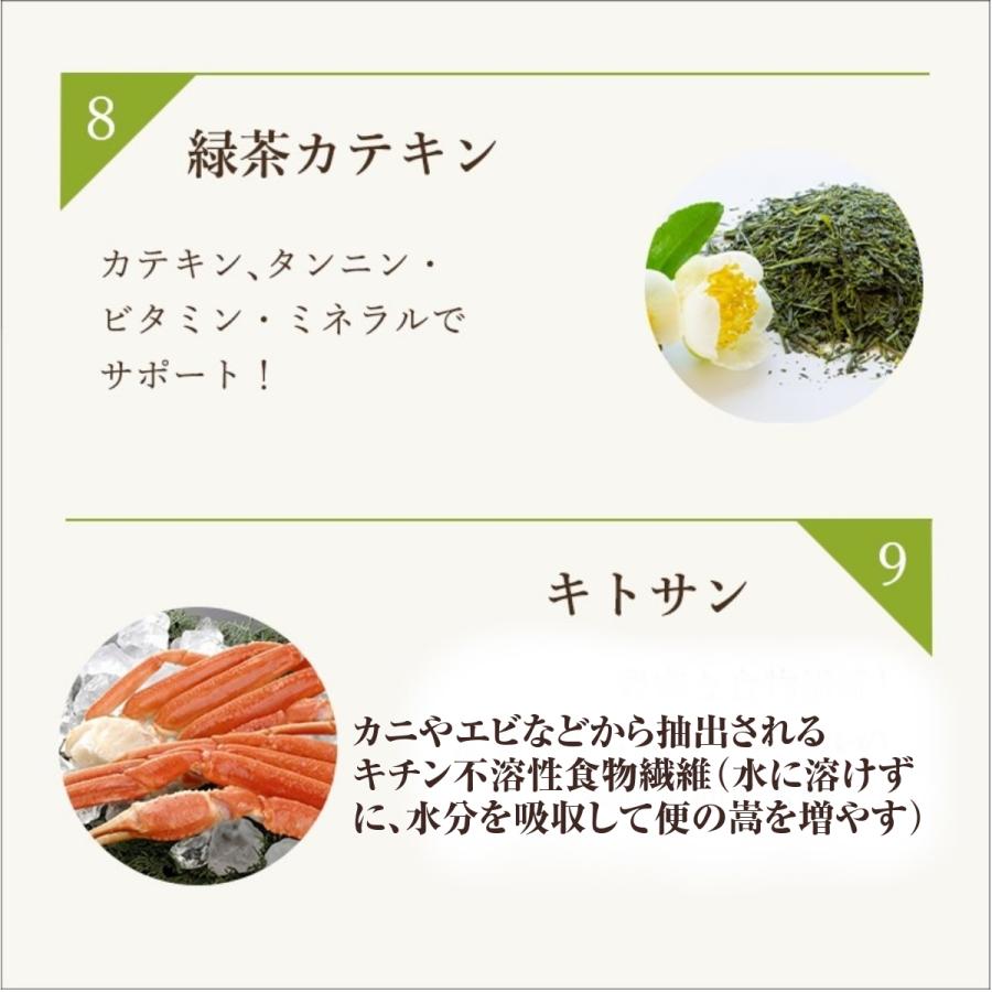 ダイエットサプリ 痩せる サプリ 腸活 ビューティー スリム ダイエットサプリ 痩せる サプリ 腸活 ビューティー スリム