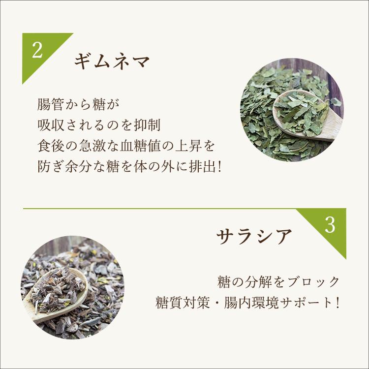 人気ダイエットサプリ ビューティースリム 1袋 カット ブロック 燃焼 ギムネマ キトサン イヌリン 白いんげん サラシア ガルシニア ブラックジンジャー カテキン :bs2:おとなのサプリ - 通販 - Yahoo!ショッピング 人気ダイエットサプリ ビューティースリム 1袋 カット ブロック 燃焼 ギムネマ キトサン イヌリン 白いんげん サラシア ガルシニア ブラックジンジャー カテキン :bs2:おとなのサプリ - 通販 - Yahoo!ショッピング