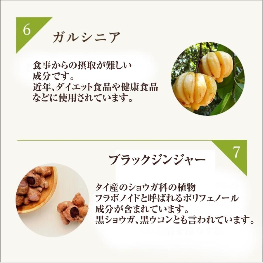 ダイエットサプリ 痩せる サプリ 腸活 ビューティー スリム ダイエットサプリ 痩せる サプリ 腸活 ビューティー スリム