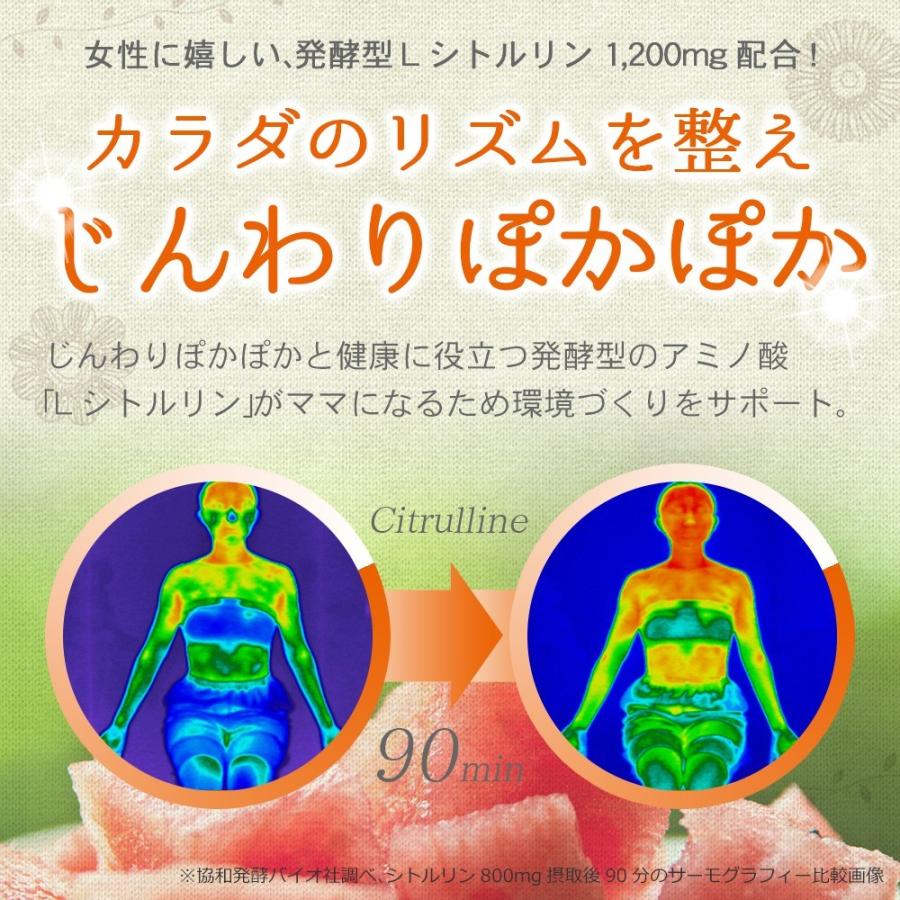 ミトコンドリア サプリ 葉酸サプリ大人の青汁 2袋 40本 ビタミン