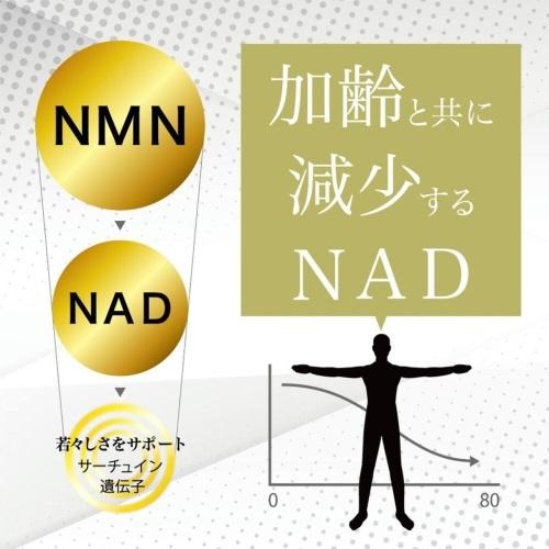 芳香園製薬 NMN ニコチンアミドモノヌクレオチオ 30粒 日本製 : 桑の葉