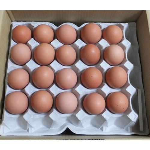 K♢072 みどり　九州送料込み K♢072 みどり 九州送料込み ゆめデリバリー | youme delivery