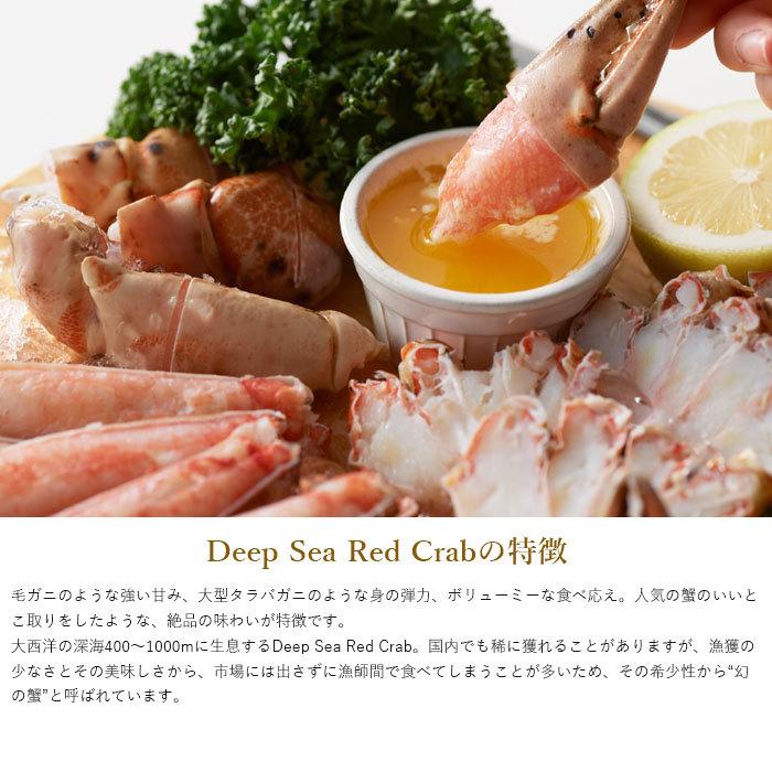 まるずわい蟹 肩脚肉800g（総重量1kg） 送料無料 ＤＥＥＰ ＳＥＡ ＲＥＤ ＣＲＡＢ ズワイ かに カニ｜otoshuclub｜03