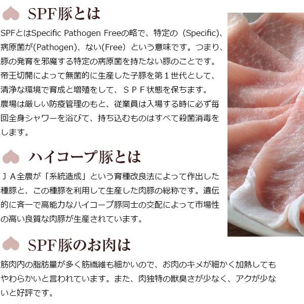 おかやまピーチポークスライス（約500ｇ×2） 岡山 ブランド豚 ご自宅用 ※5〜10日以内(土日祝を除く)に出荷 御歳暮ギフト |  | 02