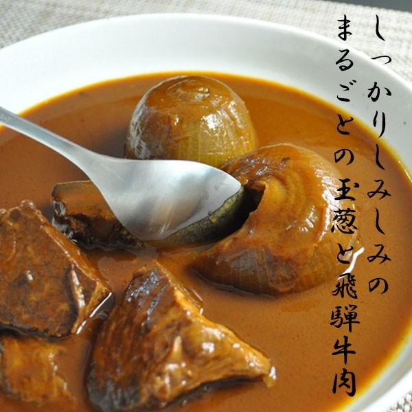 まるごと玉葱と飛騨牛のシチュー（2箱入） 送料無料 ギフト 母の日 父の日 お中元 お歳暮｜otoshuclub｜02