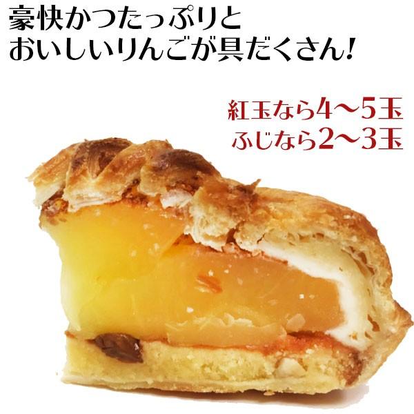 アップルパイ 1ホール（直径約18cm） 茨城おみやげ大賞 金賞受賞 藤田