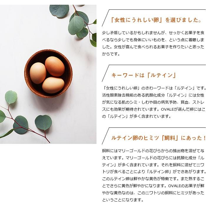 ショコラエッグタルト（9個） チョコ ショコラ タルト 生地 ホワイトデー 母の日 父の日 オヴアール 御歳暮ギフト |  | 02