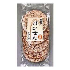 ＜味付けなし＞玄米ぽんせん　5枚入×15袋 | 