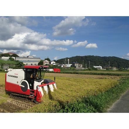 令和6年度　無農薬米　炊飯器で炊けるおいしい玄米 音羽米 |  | 03