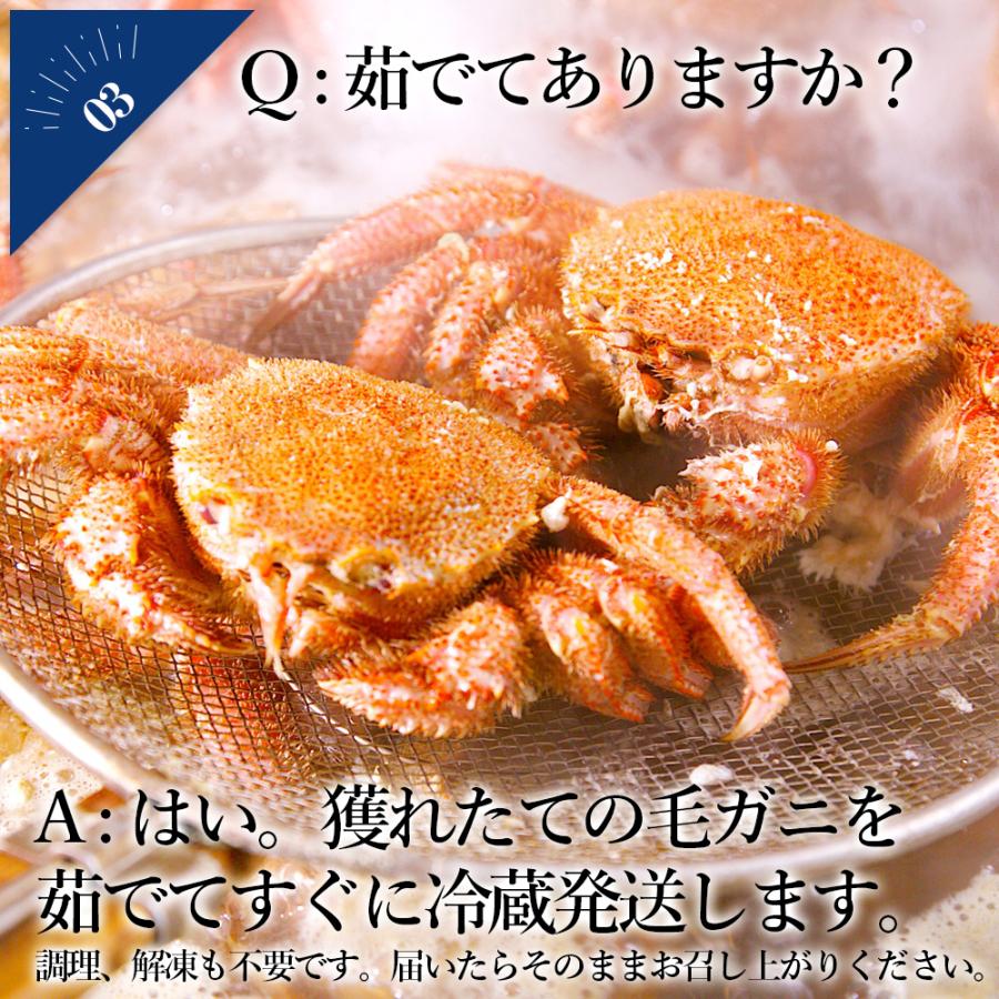 条件付き送料無料 浜茹で毛ガニ 合計1 2kg以上 大サイズ2杯 冷蔵 宮城県産 数量限定 季節限定 ボイル済み 父の日ギフト 102b03p006 石巻元気商店 通販 Yahoo ショッピング