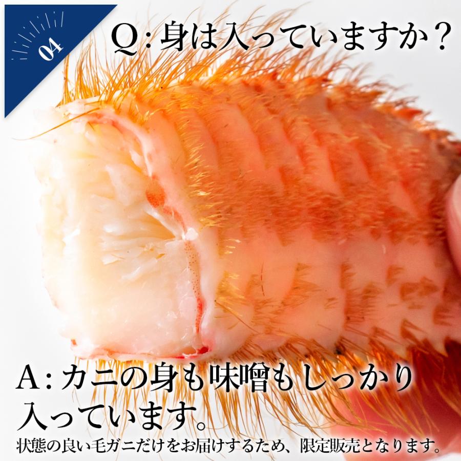 条件付き送料無料 浜茹で毛ガニ 合計1 2kg以上 大サイズ2杯 冷蔵 宮城県産 数量限定 季節限定 ボイル済み 父の日ギフト 102b03p006 石巻元気商店 通販 Yahoo ショッピング