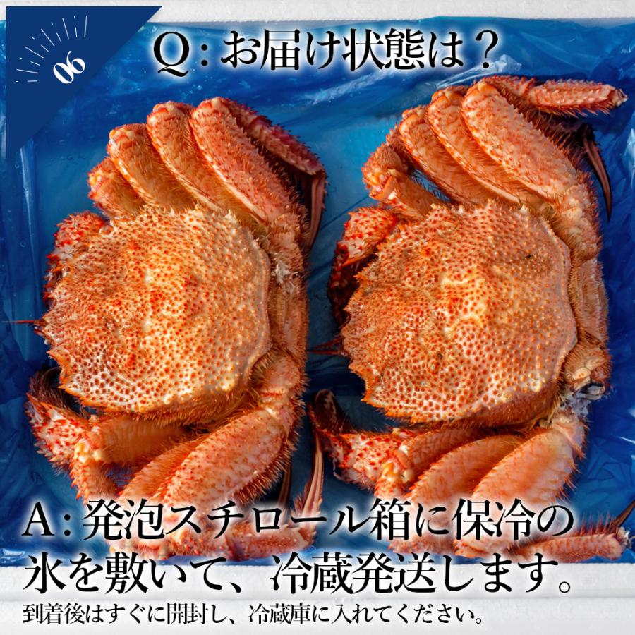 条件付き送料無料 浜茹で毛ガニ 合計1 2kg以上 大サイズ2杯 冷蔵 宮城県産 数量限定 季節限定 ボイル済み 父の日ギフト 102b03p006 石巻元気商店 通販 Yahoo ショッピング