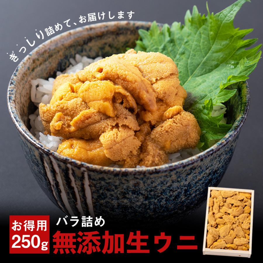 条件付き送料無料 無添加生ウニ お得用バラ詰め 約250g 冷蔵 贈答用 お中元 父の日 プレゼント 母の日 敬老の日 時間指定不可 ギフト