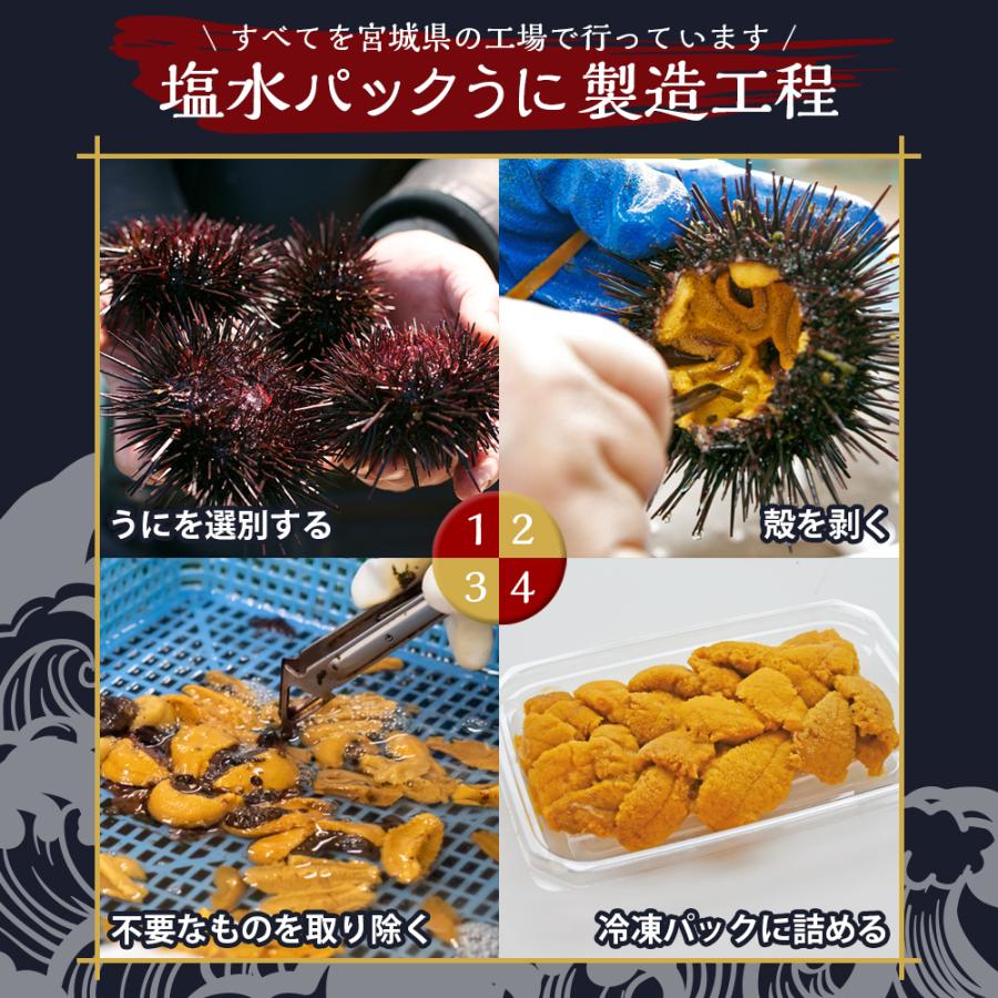 条件付き送料無料 訳あり 氷温熟成 冷凍ウニ 100g 3パック 冷凍 135c02p025 石巻元気商店 通販 Yahoo ショッピング