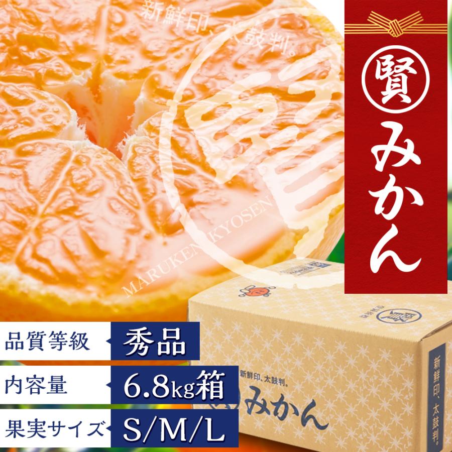みかん出品　花山椒300ｇ マルケンみかん 青秀/秀品（6.8kg）S、M、L（サイズにより価格が異なり