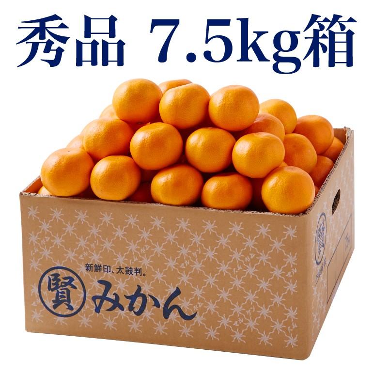 マルケンみかん 秀品 7 5kg 常温 139a02p011 石巻元気商店 通販 Yahoo ショッピング