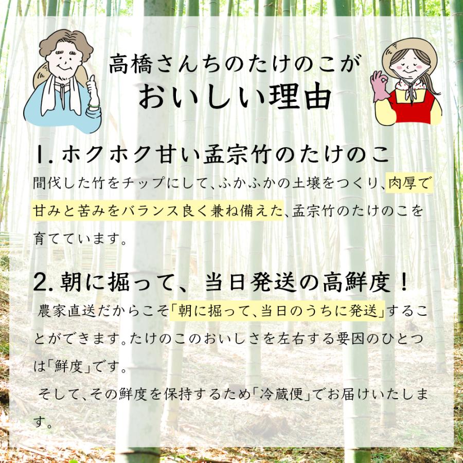 高橋さんの朝掘り 生たけのこ(約3kg/3〜4本)冷蔵 産地直送 高橋さんの朝掘り 生たけのこ(約3kg/3〜4本)冷蔵 産地直送