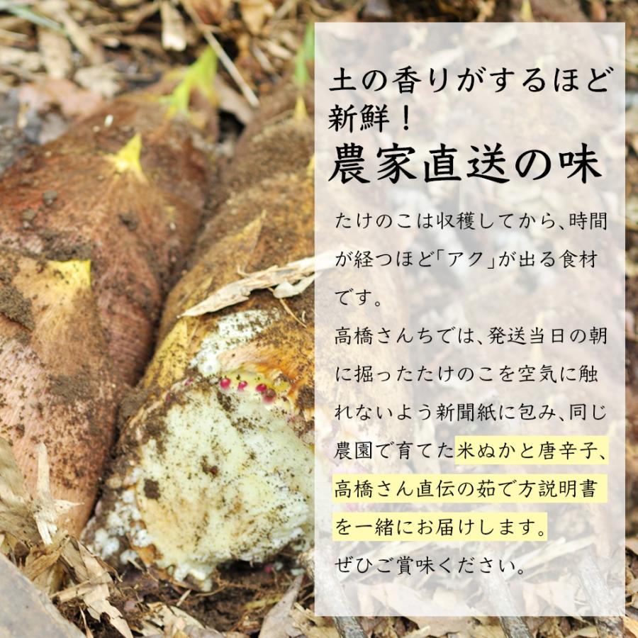 高橋さんの朝掘り 生たけのこ(約3kg/3〜4本)冷蔵 産地直送 高橋さんの朝掘り 生たけのこ(約3kg/3〜4本)冷蔵 産地直送