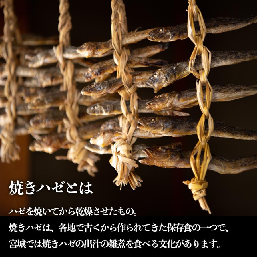 送料無料 漁師直送 北上川の焼きハゼ 5尾 ポスト投函お届け ネコポス 163d01p001 石巻元気商店 通販 Yahoo ショッピング