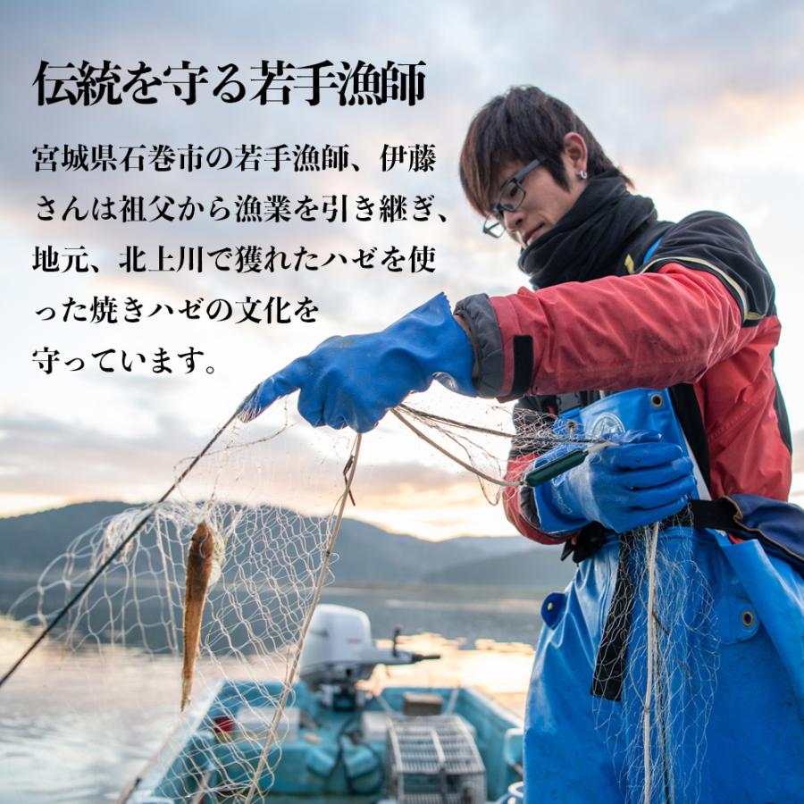 送料無料 漁師直送 北上川の焼きハゼ 5尾 ポスト投函お届け ネコポス 163d01p001 石巻元気商店 通販 Yahoo ショッピング