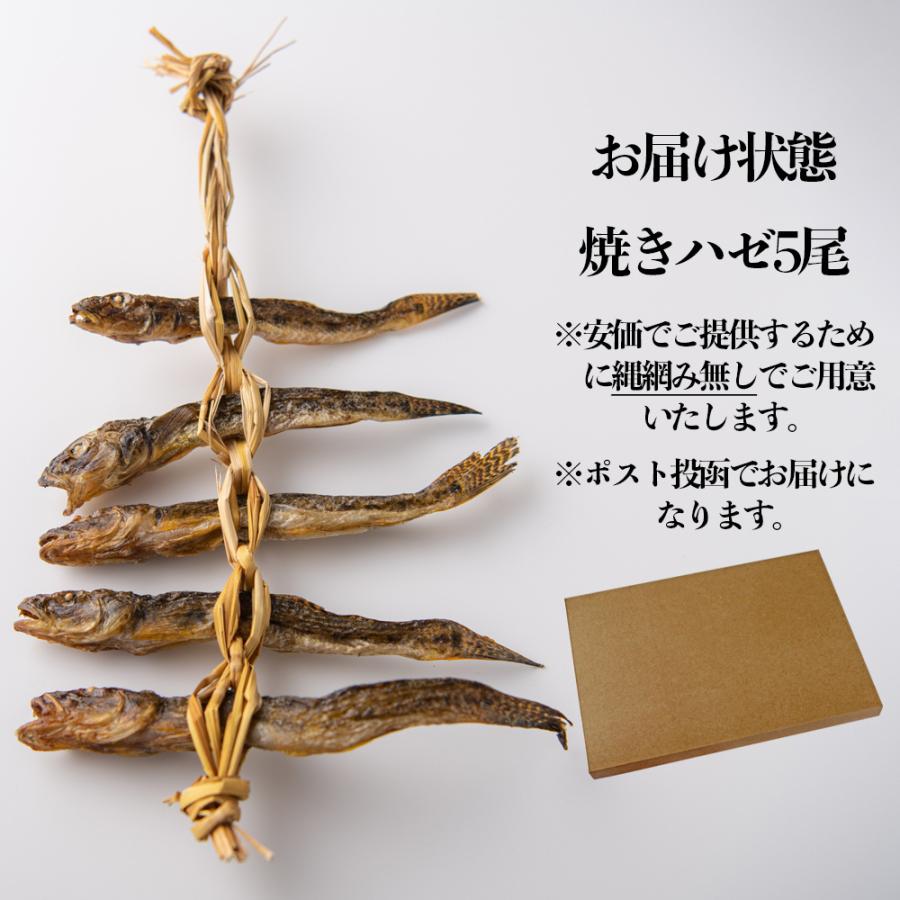 送料無料 漁師直送 北上川の焼きハゼ 5尾 ポスト投函お届け ネコポス 163d01p001 石巻元気商店 通販 Yahoo ショッピング