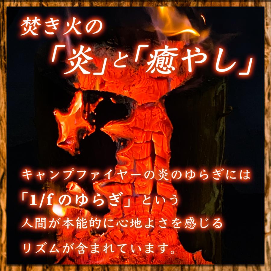 条件付き送料無料】丸太のスウェーデントーチSサイズ（1個）常温 燃焼2