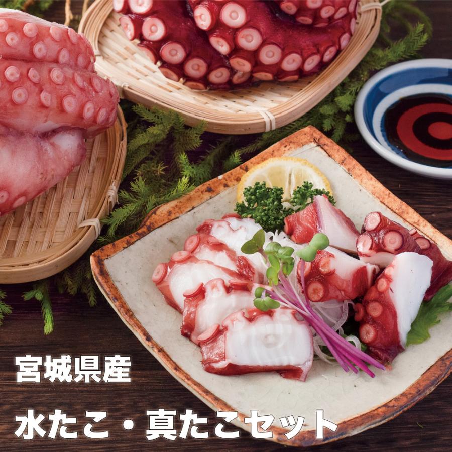 条件付き送料無料 宮城県産水たこ 真たこセット 合計1 2kg分 冷凍 168c01p001 石巻元気商店 通販 Yahoo ショッピング