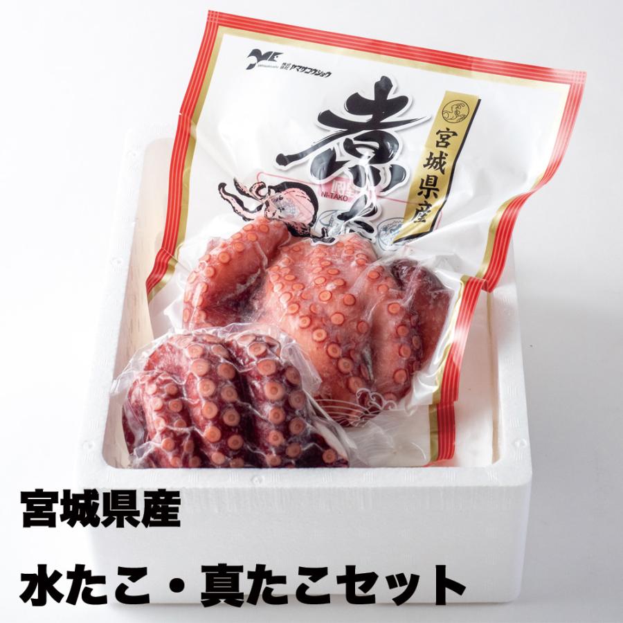 条件付き送料無料 宮城県産水たこ 真たこセット 合計1 2kg分 冷凍 168c01p001 石巻元気商店 通販 Yahoo ショッピング