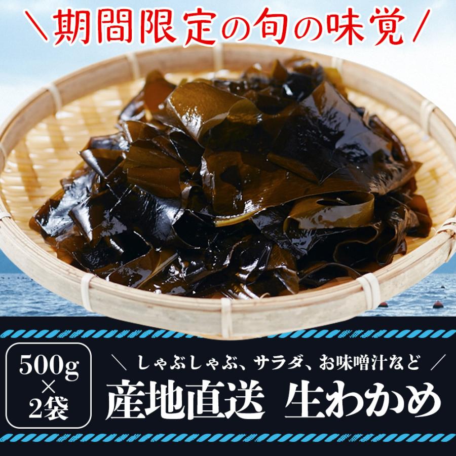 朝採れ冷蔵配送 生わかめ（500g×2袋） 宮城県産 わかめしゃぶしゃぶ 3